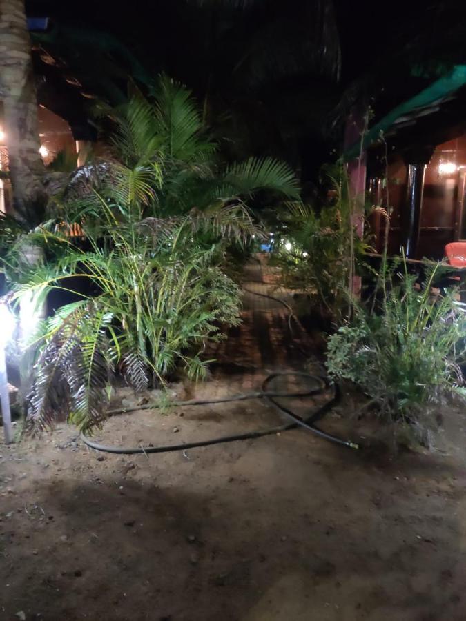 Casa Fiesta Hotel Palolem Buitenkant foto