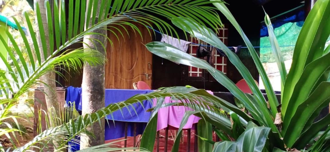 Casa Fiesta Hotel Palolem Buitenkant foto
